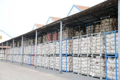 一棵樹、一塊板、一頭蒜,邳州現(xiàn)代農(nóng)業(yè)這篇文章大有所為-財經(jīng)頻道-手機